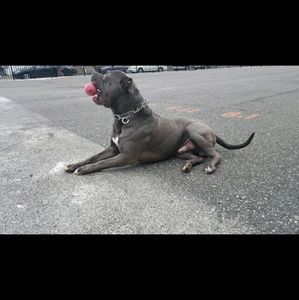 Meet your Posher, Roderick